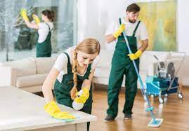 professionele schoonmaakdiensten