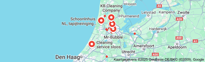reinigingsbedrijf
