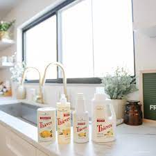 schoonmaakbedrijf robbers